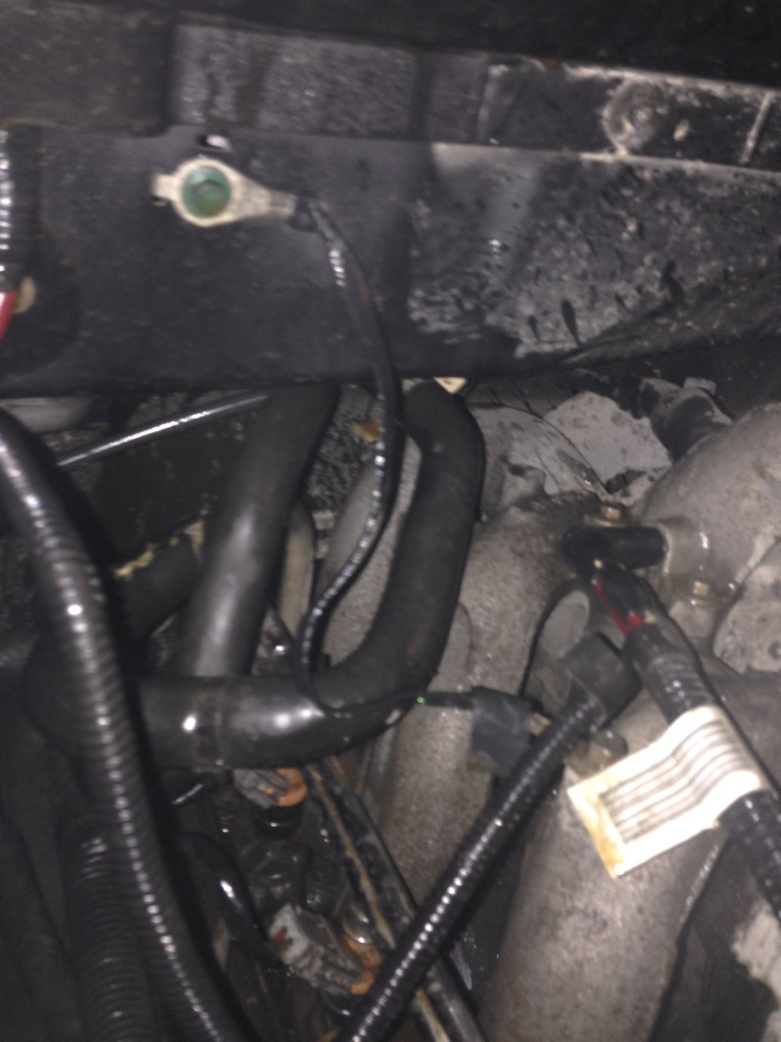 Blew some radiator hose and need identified Ford Truck Enthusiasts Forums