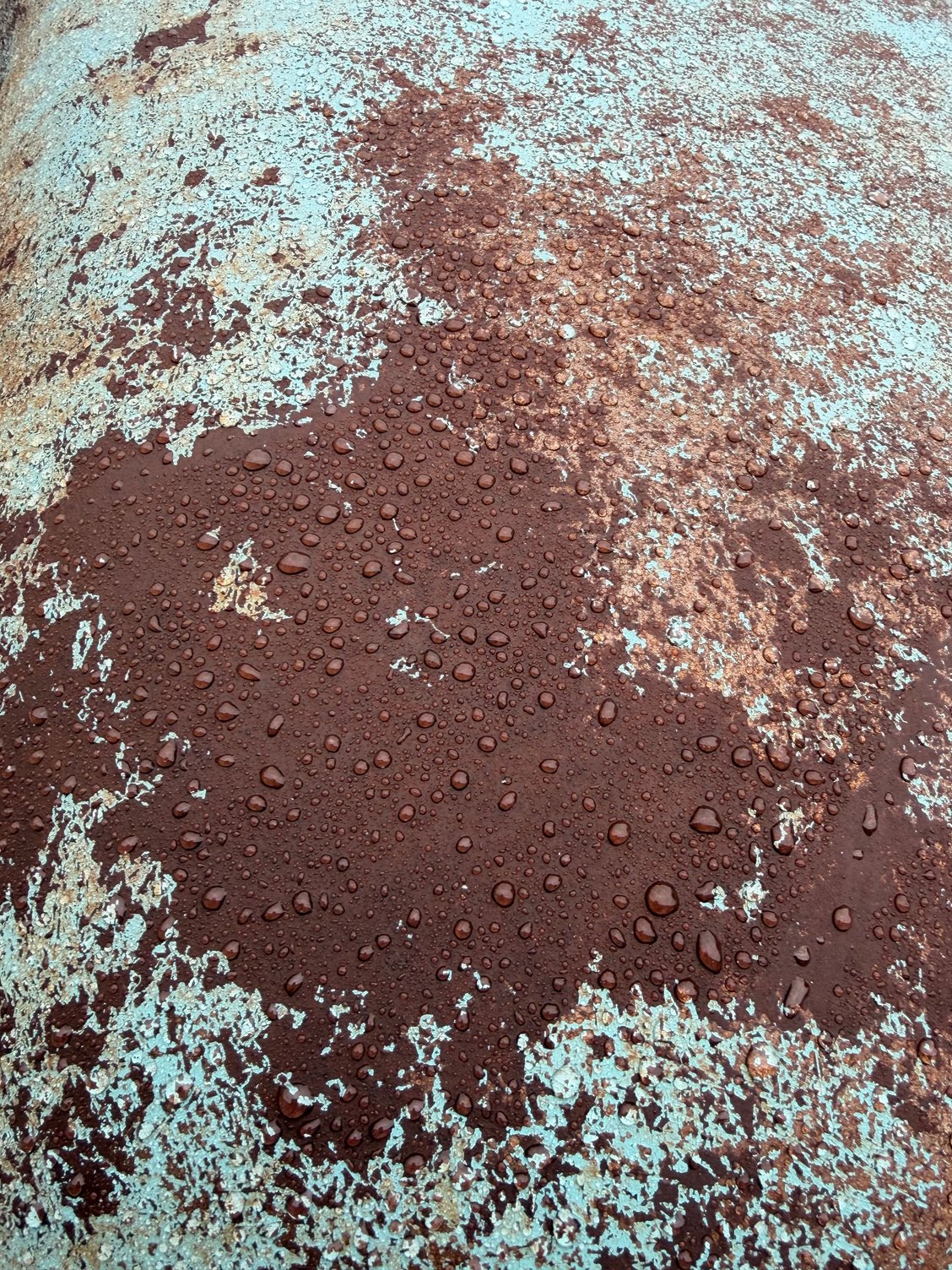 Beading up like it was waxed. NOTE: you can see bare metal along with the rust. This is my hood and it sat out in the elements over the fall, winter and spring before I mounted it and it never rusted where there was bare metal.