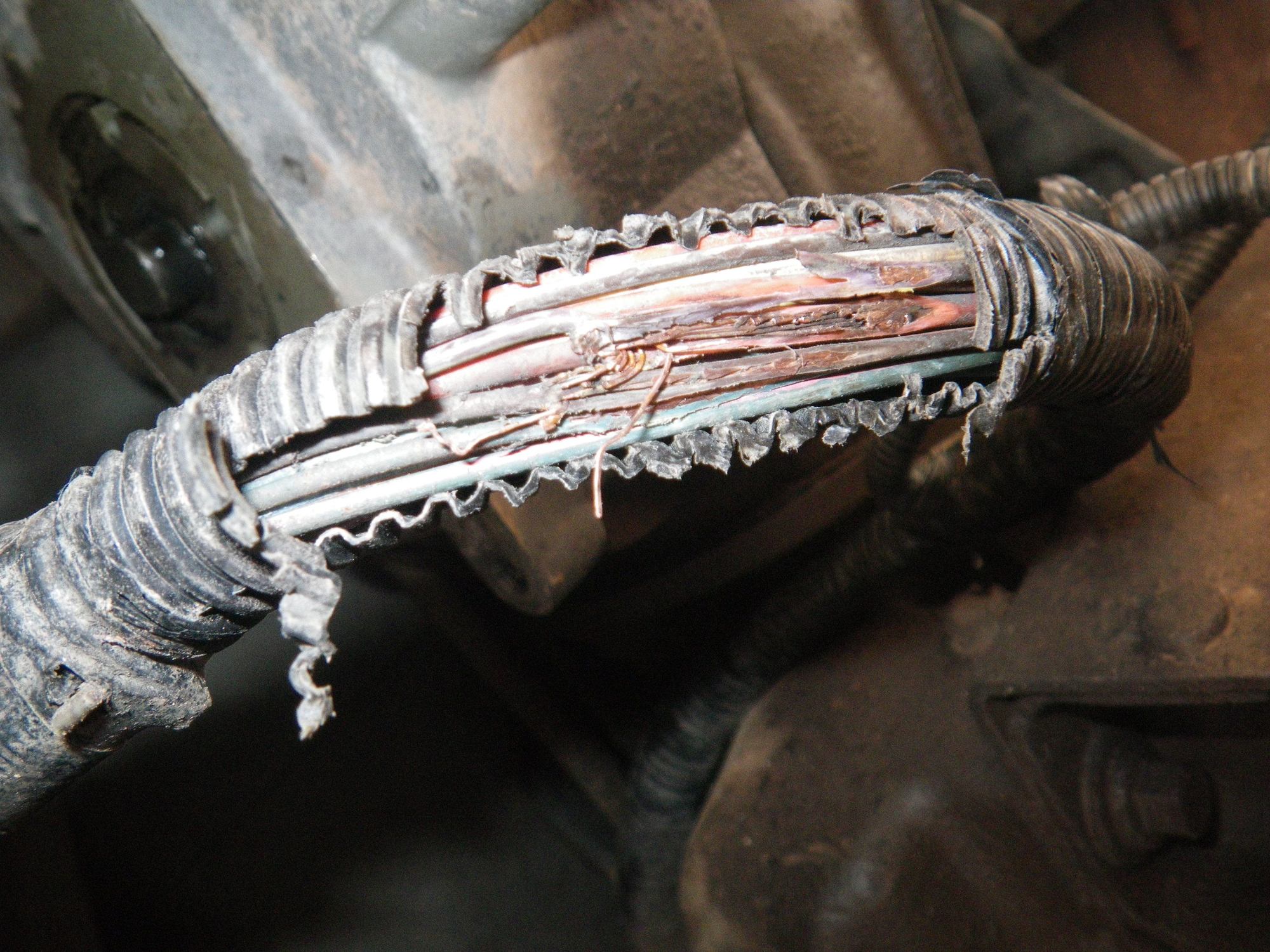 Electrical Gremlins - Page 3 - Ford Truck Enthusiasts Forums