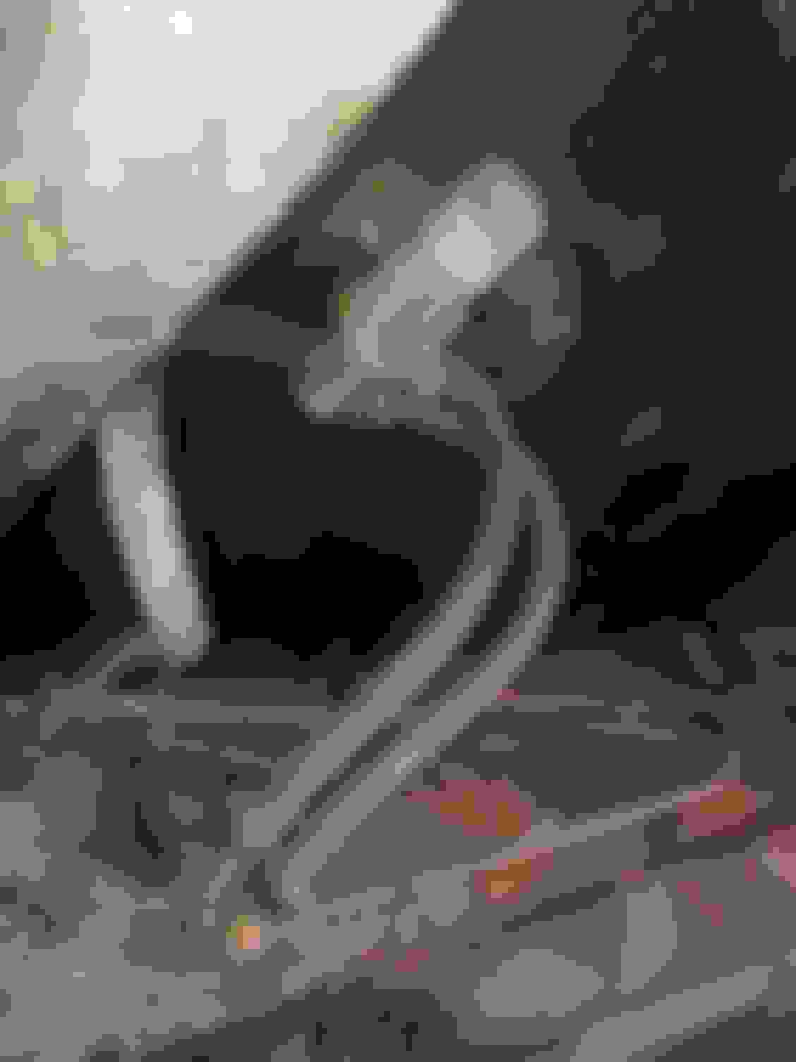 1975 fuel filter location Ford Truck Enthusiasts Forums