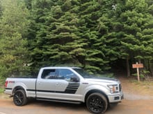 2019 F-150 SPECIAL EDITION SPORT