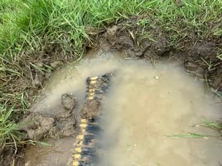 Just stops right where the puddle was