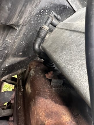 This is a PCV… right? (passenger side, connects to upper intake manifold, has a small filter/valve inside.