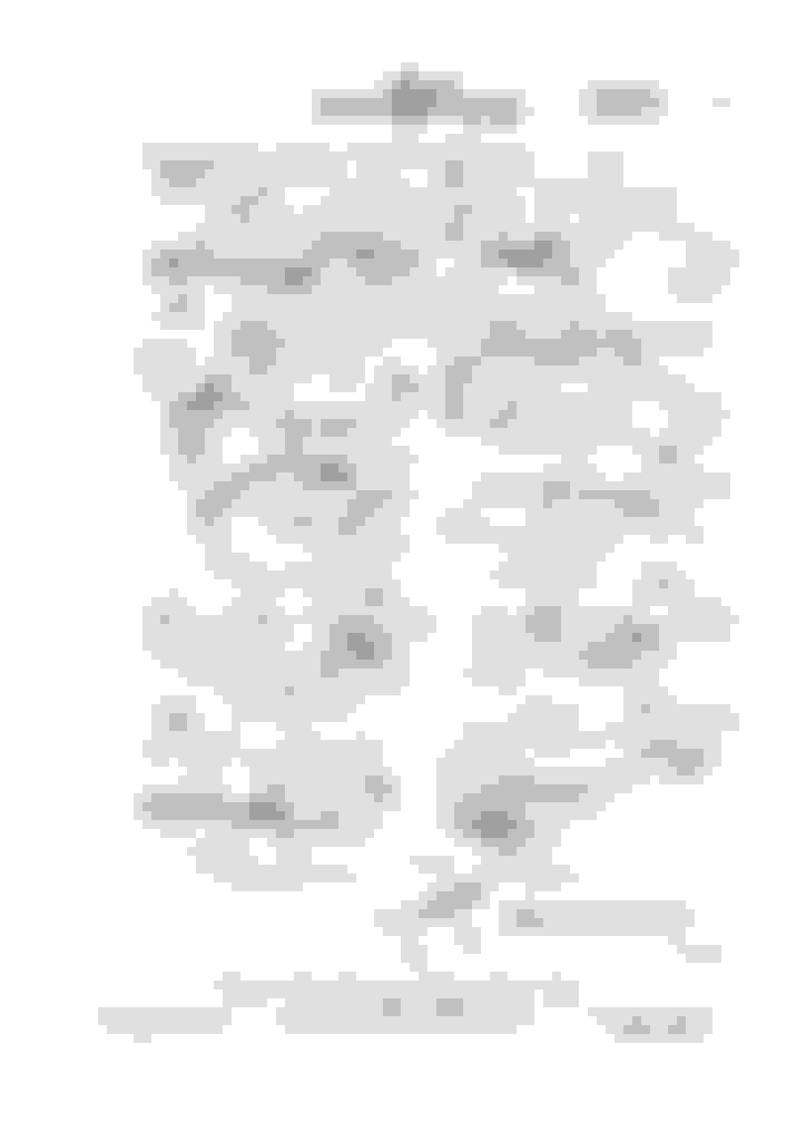 NP435 Reverse light switch connector. Ford Truck Enthusiasts Forums