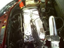 Contour valve cover, K&amp;N Typhoon intake, 4-2-1 header