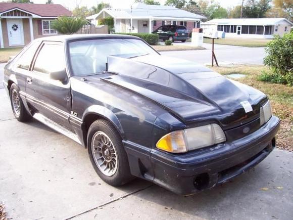 Blue Mustang 008