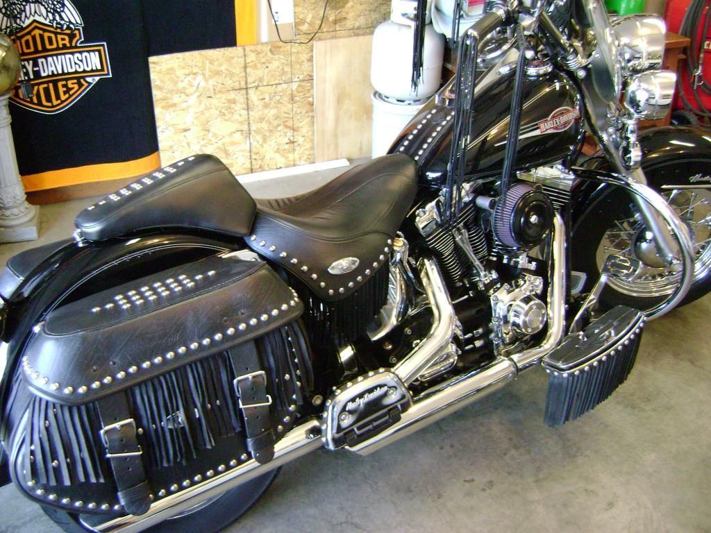 fringed saddlebags harley davidson