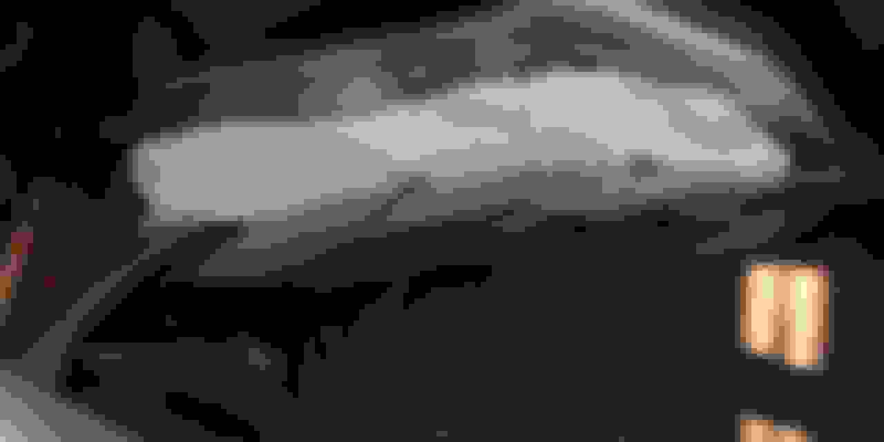 2018 Speedometer Condensation? Page 9 Harley Davidson Forums