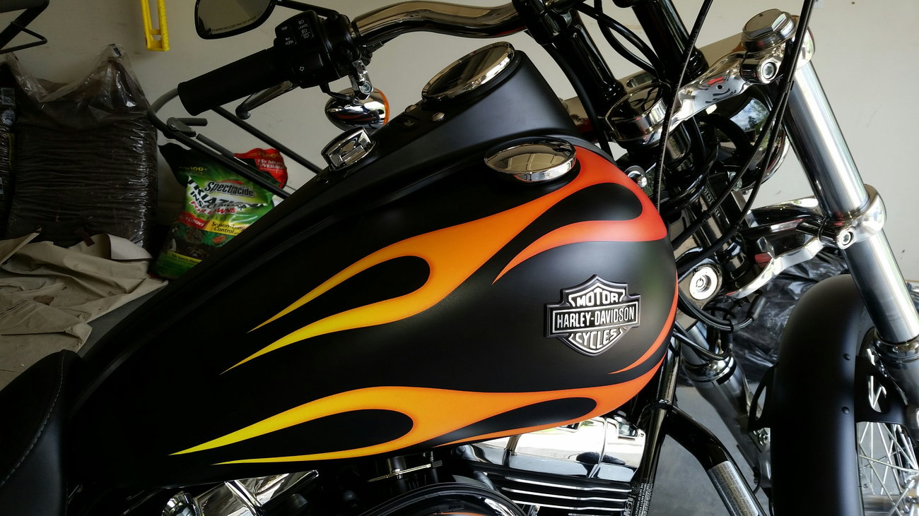 Vivid or Matte black on the SG ? | Harley Davidson Forums