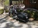 `06 Road King Custom
