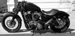 Our Harleys
