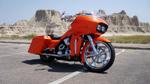 Sturgis 2009