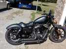2016 883./1250 hammer..
