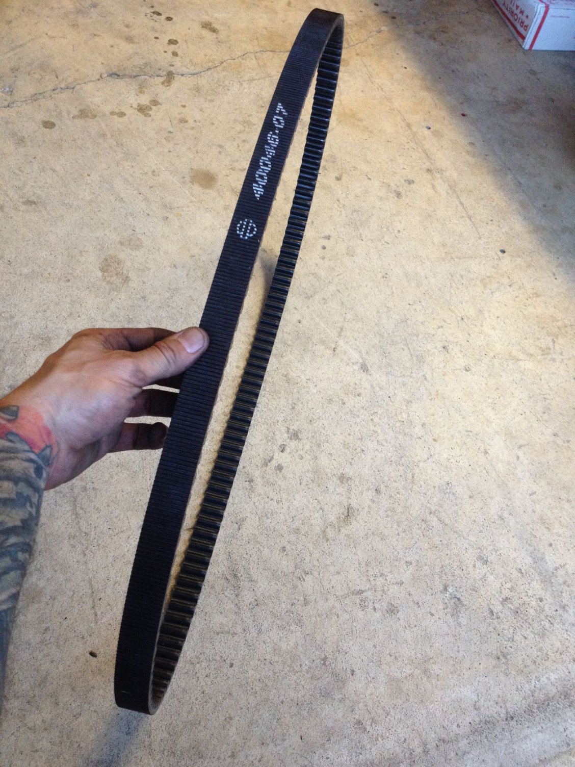 07+ Dyna Secondary Drive 1" Belt 4004607 131t Harley Davidson Forums