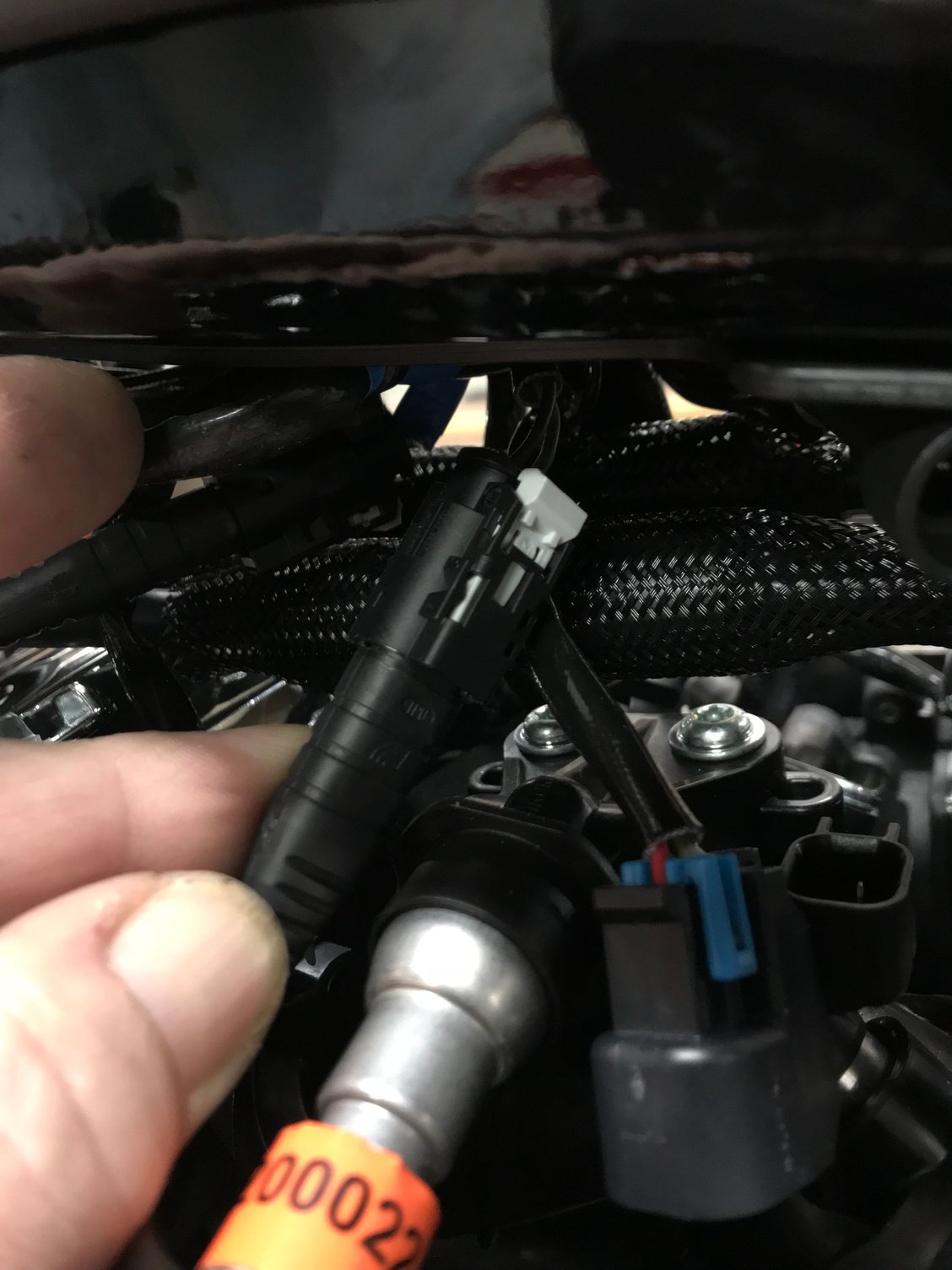 Knock Sensor Connectors Harley Davidson Forums