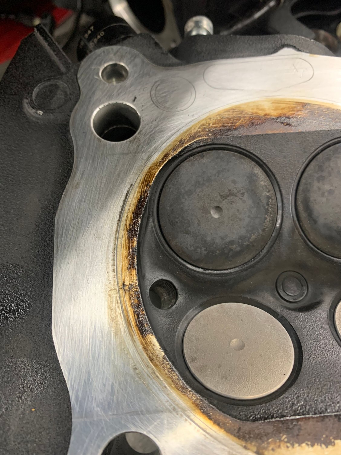 Head Gasket...the sequel Page 3 Harley Davidson Forums