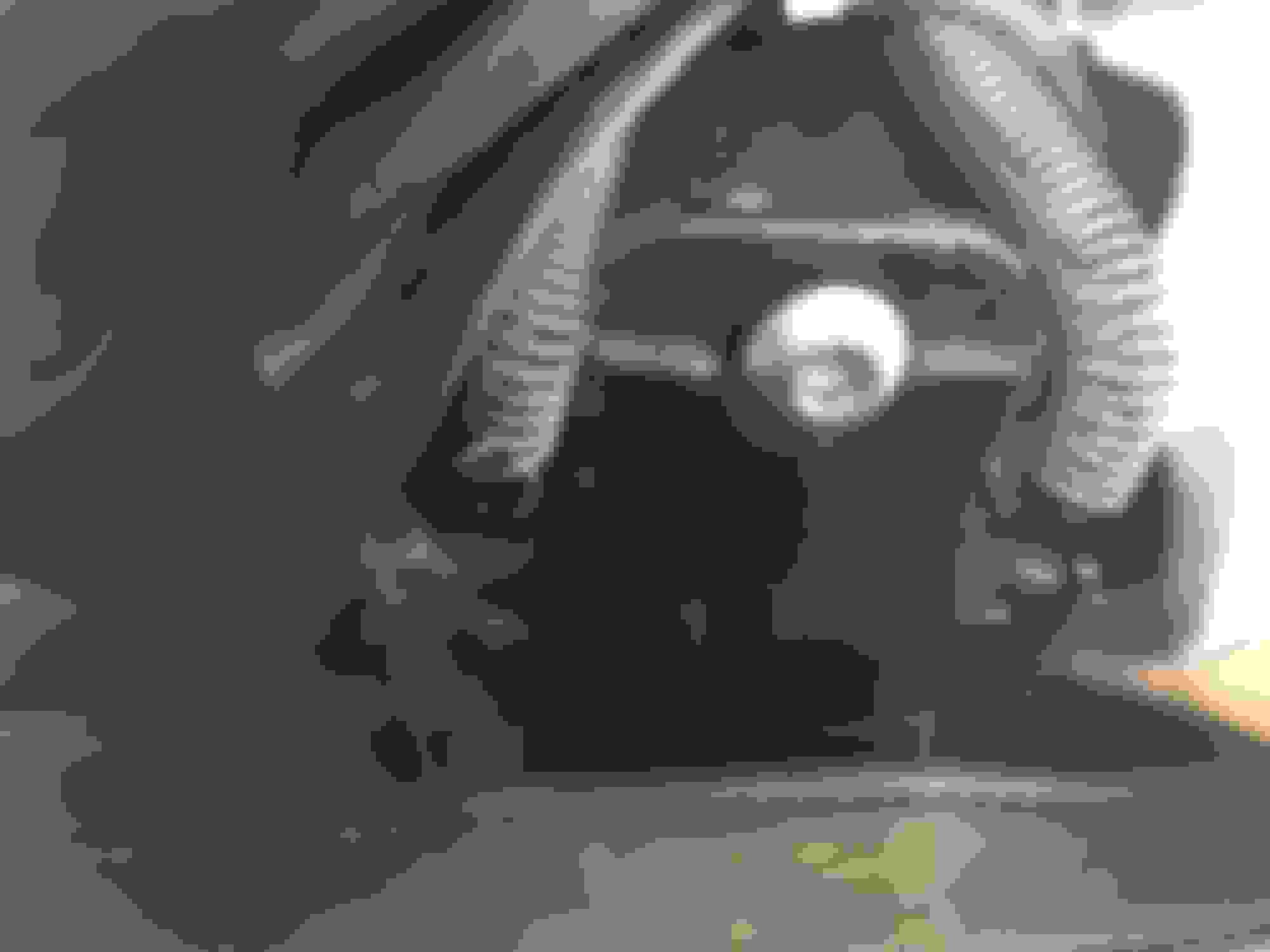 Springs inside riders backrest HELP Harley Davidson Forums