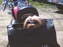 Yep he lived to be a old man... so much for not safe... he loved to ride... and got to live his life.
