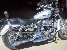 2004 Sportster