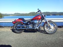 at our local water supply dam for the sunshine coast