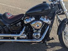2020 Softail
