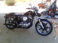 The Sportster. Dog approved.