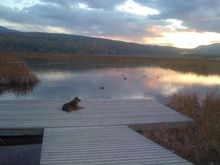 Pekams Lake… 1/2 hour SE of Cranbrook BC… 