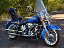 I need some bags...high way pegs too!
