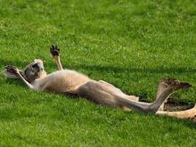 6 months!!!  Oh well, I’d better relax then. 