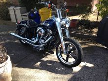 My FLD with Wild 1 Chubby's 12" Psycho Street Fighters