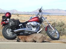 Untitled Album 2019-12-15 18:55:19