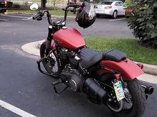 2019 Street Bob