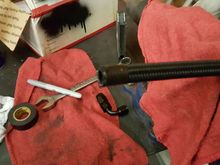 Notice how neat this just cut end - is