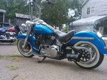 it has a very sweet look.