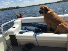 How about this one then,Doc?