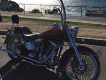 Carlini 16" Flying Apes