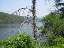 Fontana Dam