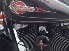 Pinstriping added to fuel tank and horn cover