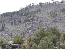 Can you find the crew replacing the pole?