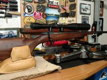 CZ 527 Varmint 204 Ruger