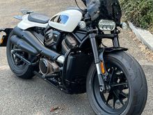 Screen full of flies