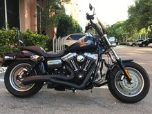 08 FXDF, Progressive Monotube Fork, Progressive 490 Sport on Rear Shocks, Windvest, LED and V&H Big Radius 2-1.. 95Tq/80hp Stock engine !