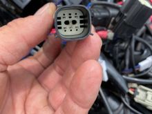 This is the MX150 6 pin sealed connector 