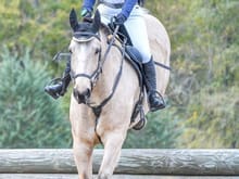 Joey and I on Cross Country at Popular Farm October 2016.  Novice Level Eventing.  What I'm doing for fun these days.