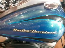 Blu at Harley