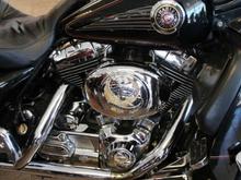 My first Harley and Lovin it!