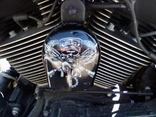 This is another free hand airbrush job of a Ranger logo, I had done on my horn cover. The artist did an amazing job!