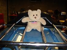 My mascot