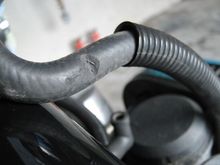 fuel hose worn