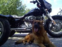 My Boy!!